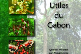 Les arbres utiles du Gabon