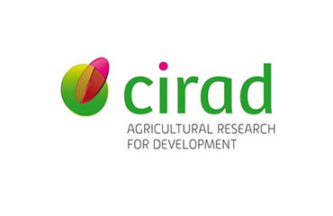 CIRAD (France)