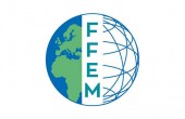 FFEM