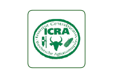 ICRA (Central African Republic)