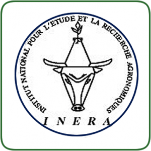 INERA (RDC)