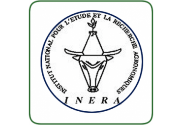 INERA (DRC)