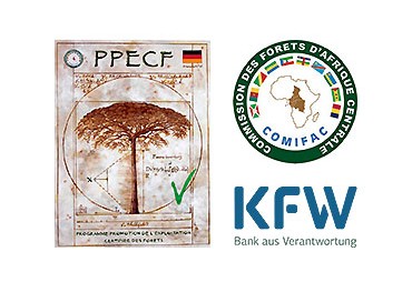 PPECF - COMIFAC - KFW