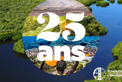 Pour ses 25 ans le FFEM lance sa lettre d’information