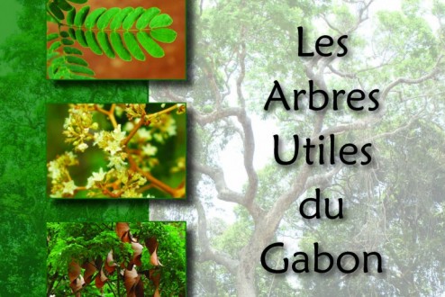 Pour un nouveau "Guide sur les arbres d’Afrique Centrale"