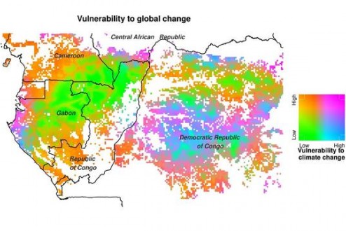 Des forêts d’Afrique centrale particulièrement vulnérables aux changements globaux