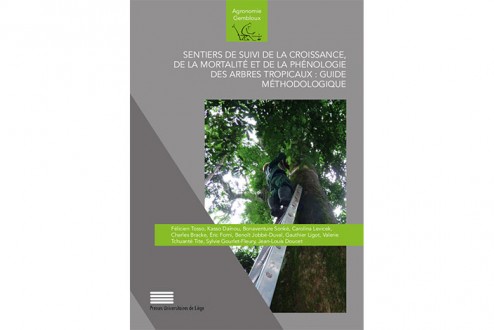 Un nouveau guide pratique pour soutenir l’aménagement durable des forêts d’Afrique centrale
